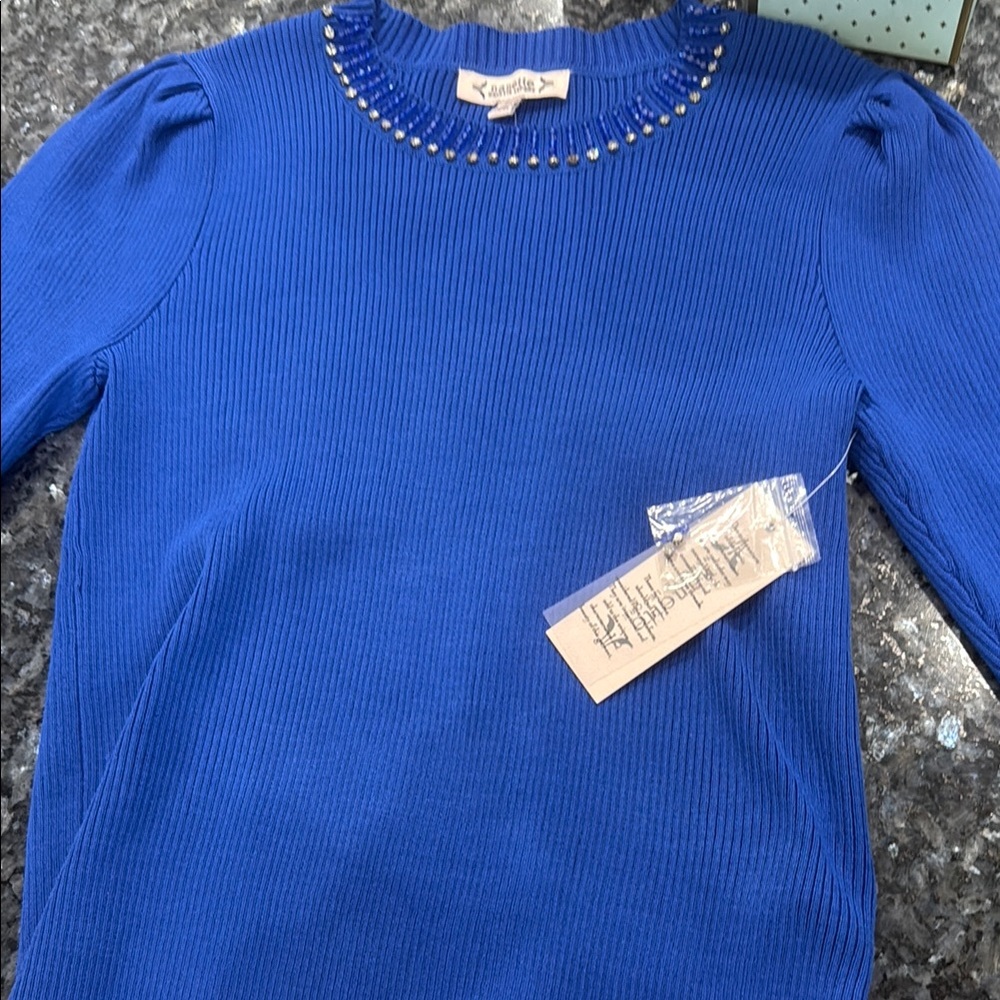 Blue Ribbed Sweater with Studded Neckline